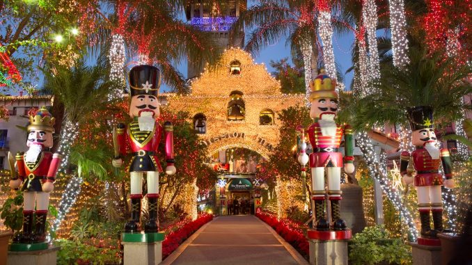Festival of Lights Front Walkway (2)