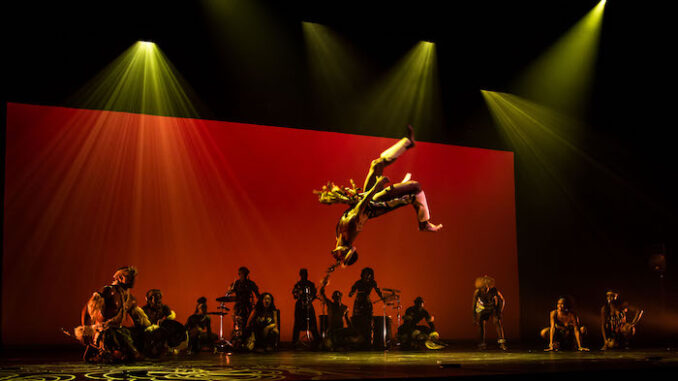 04 Photo by William Perrigen - Zulu Jump